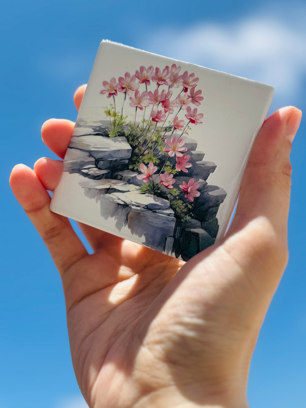 Flowers & Rocks Coasters
