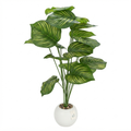 Artificial Calathea Plant in White Round Plastic Pot