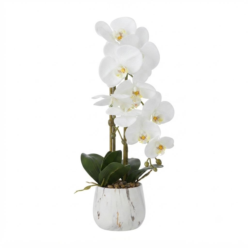 White Phalaenopsis Orchid 50cm – Marble Pot