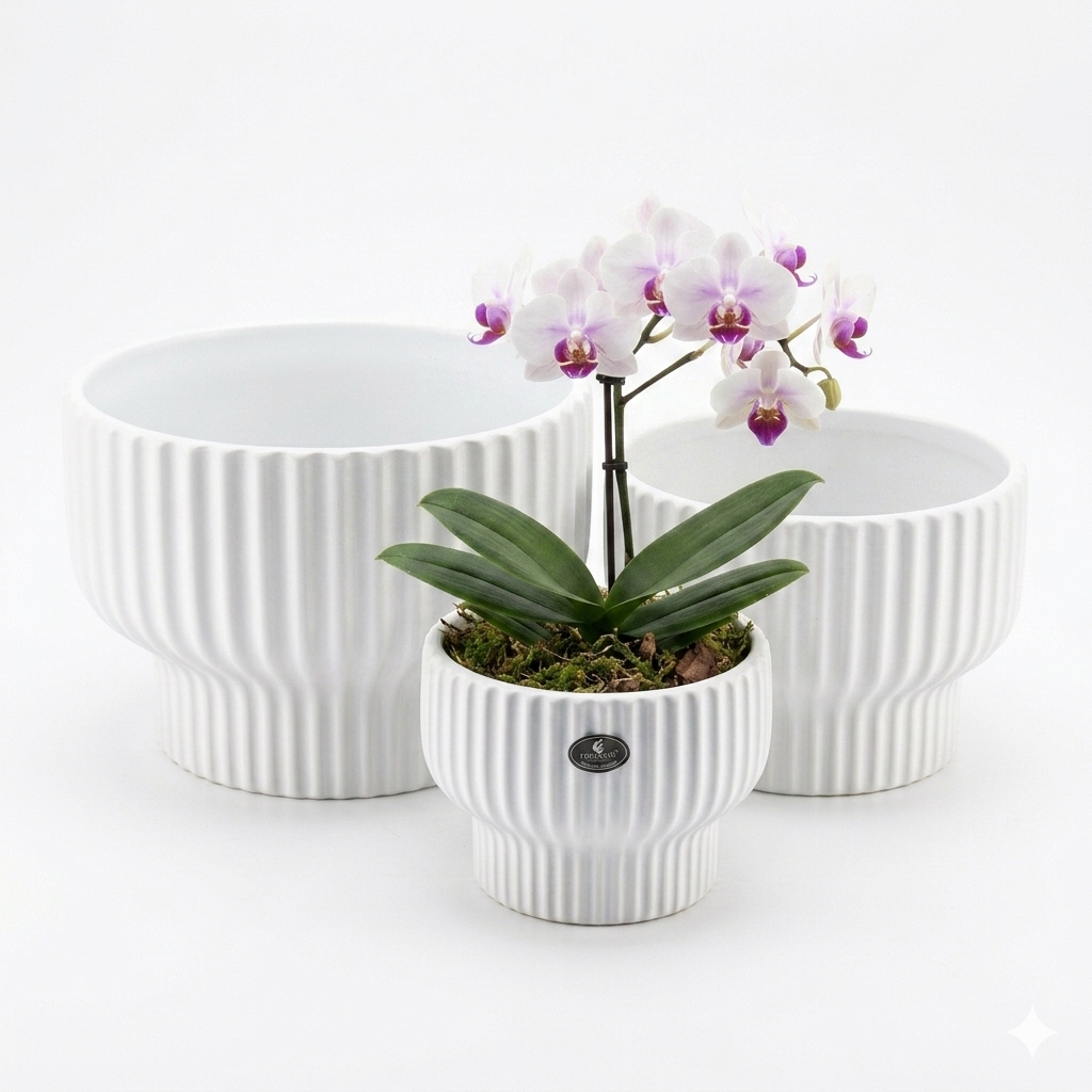 Foursant Ribbed Ceramic Plant Pot