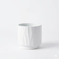 Ceramic Plant Pot