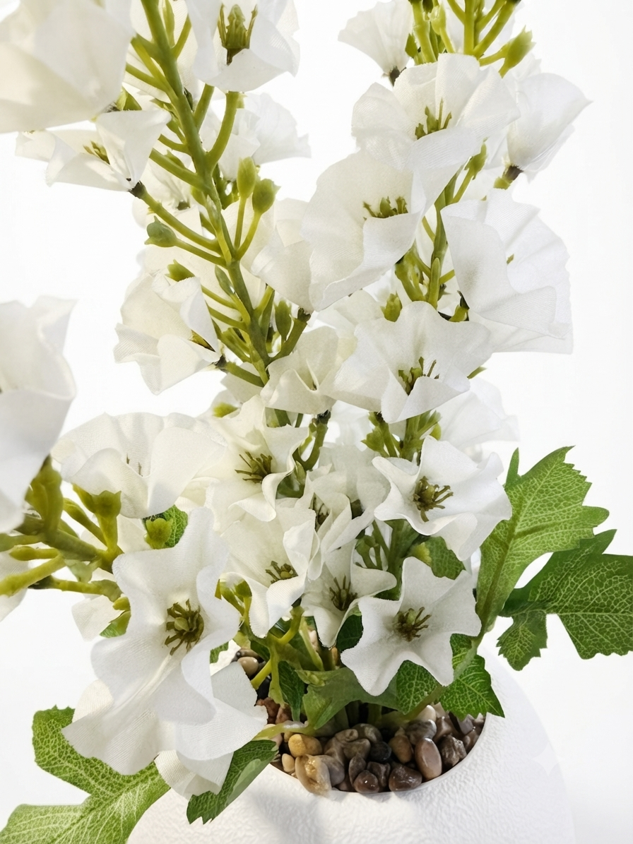 White Blossom