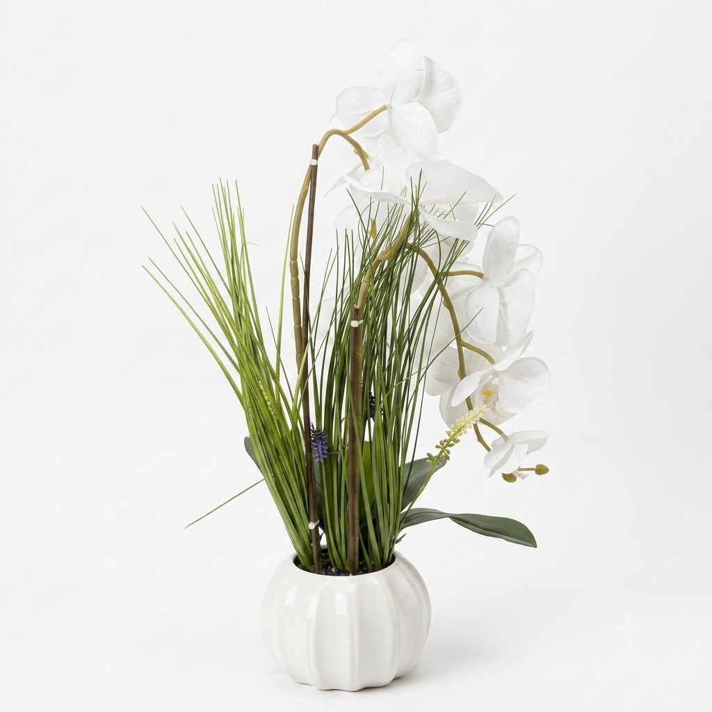 White Orchid Arrangement