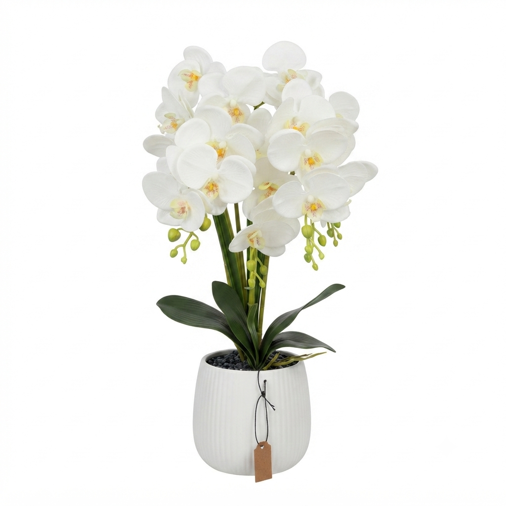 White Artificial Orchid 50cm