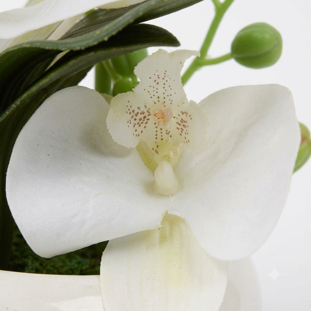 White Orchid vase