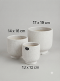 Ribbed Ceramic Pot