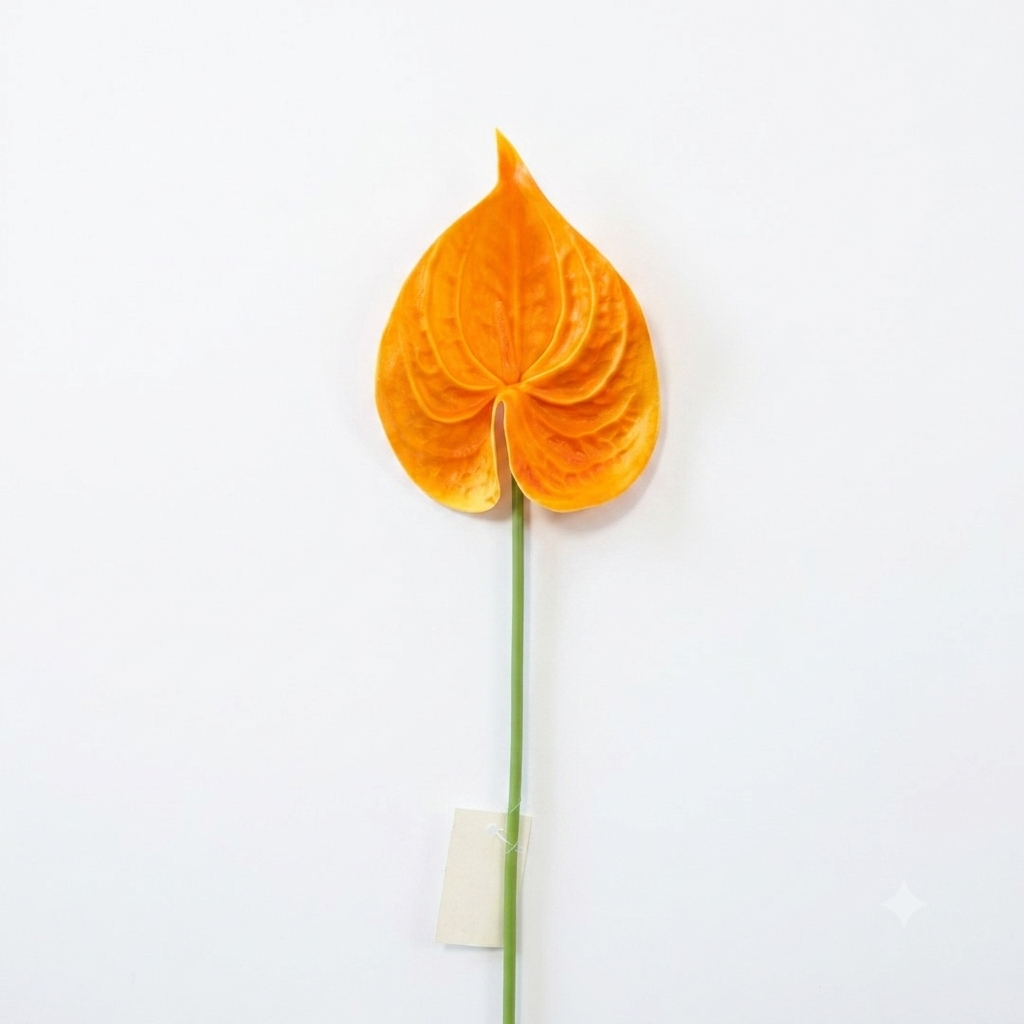 Anthurium Stem 57cm