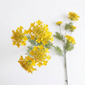 Wildflower Stem