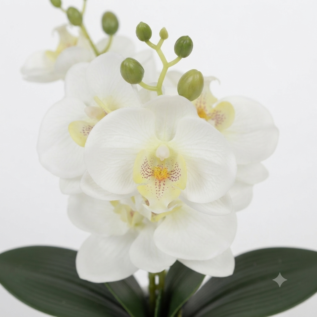 White Artificial Orchid 50cm
