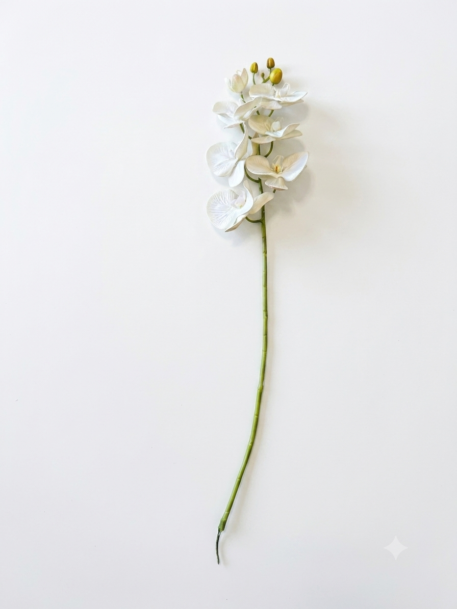 White Phalaenopsis Orchid Stem 75cm