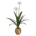 Artificial Agapanthus Plant White