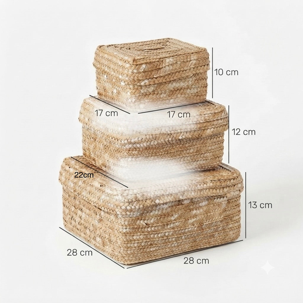 Seagrass Storage Basket Set of 3 with Lids