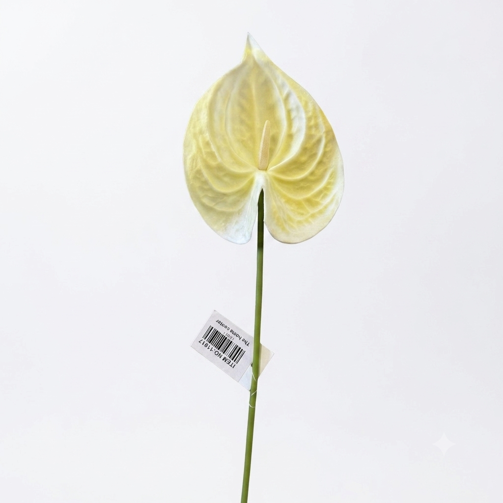 Anthurium Stem 57cm
