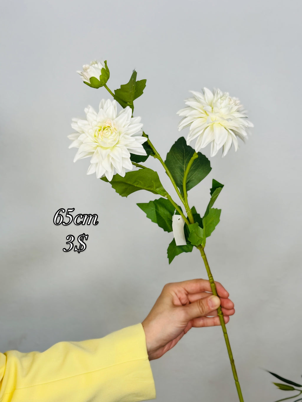 White Dahlia Stem 65cm