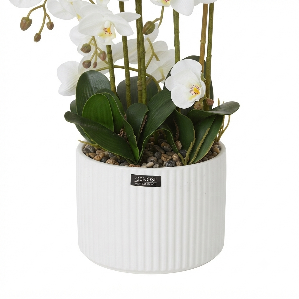 White Phalaenopsis Orchid 80cm – Ribbed White Pot