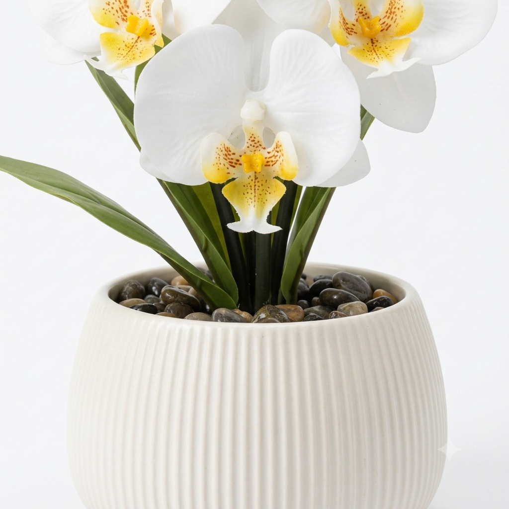 White Cymbidium Orchid
