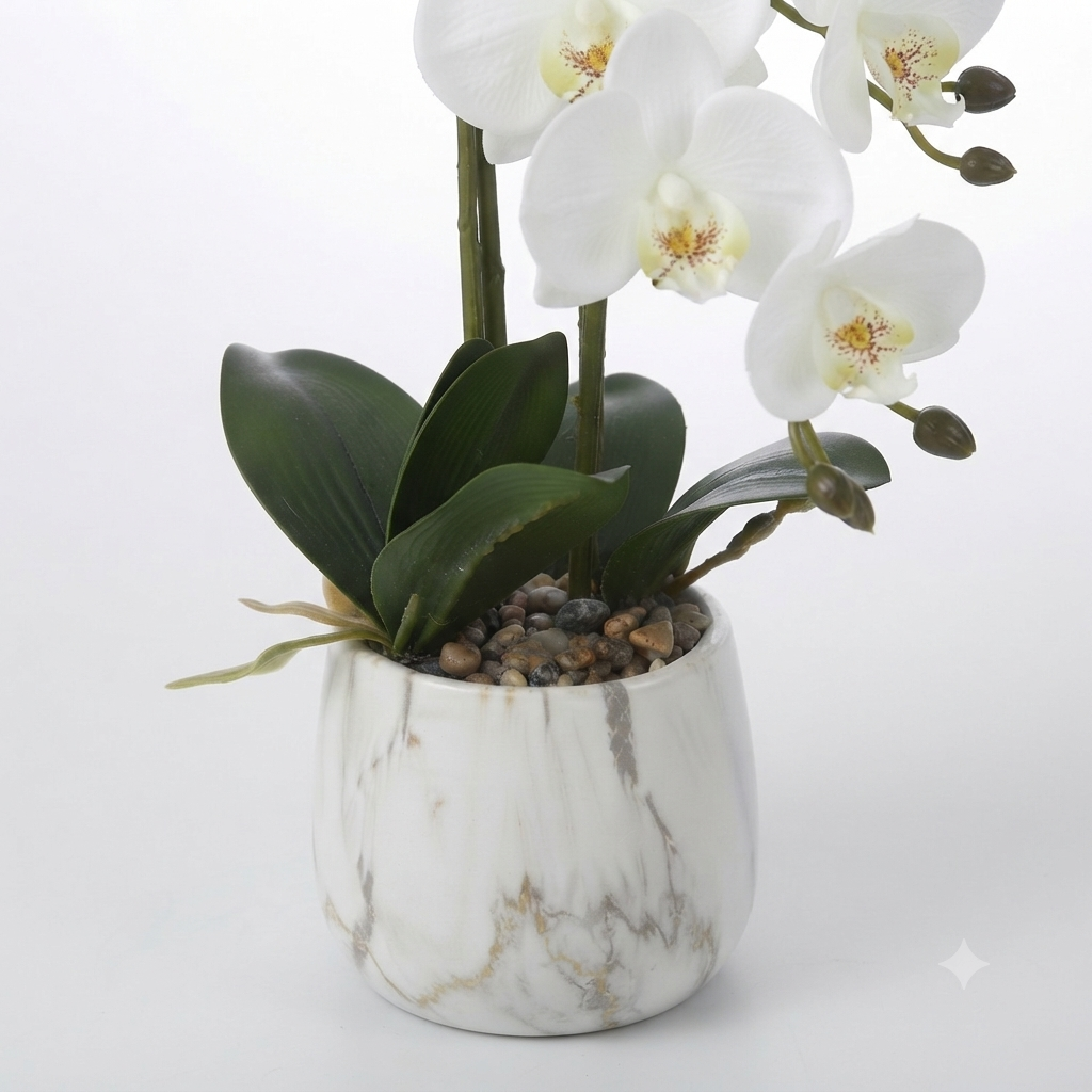 White Phalaenopsis Orchid 50cm – Marble Pot