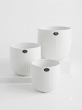 Vertical Ribbed White Ceramic Planter 3pcs