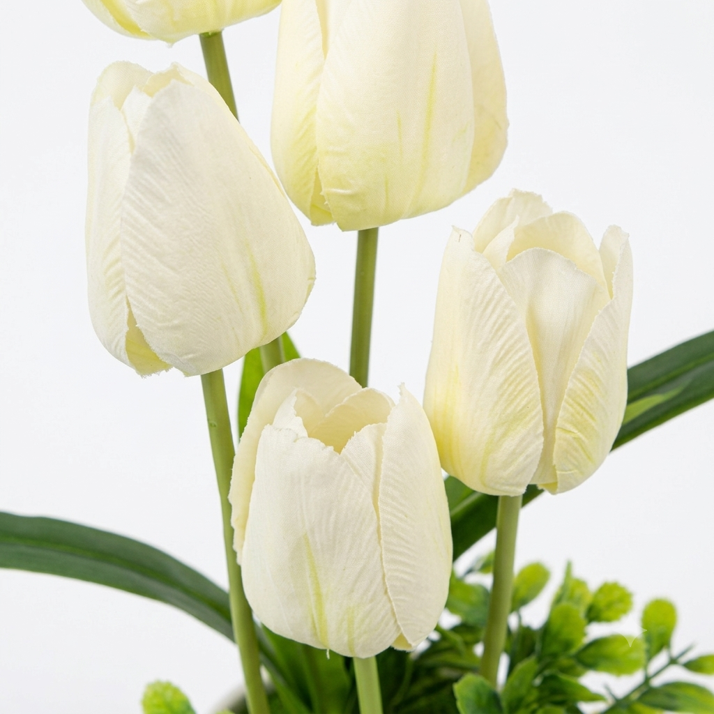 White Tulip vase