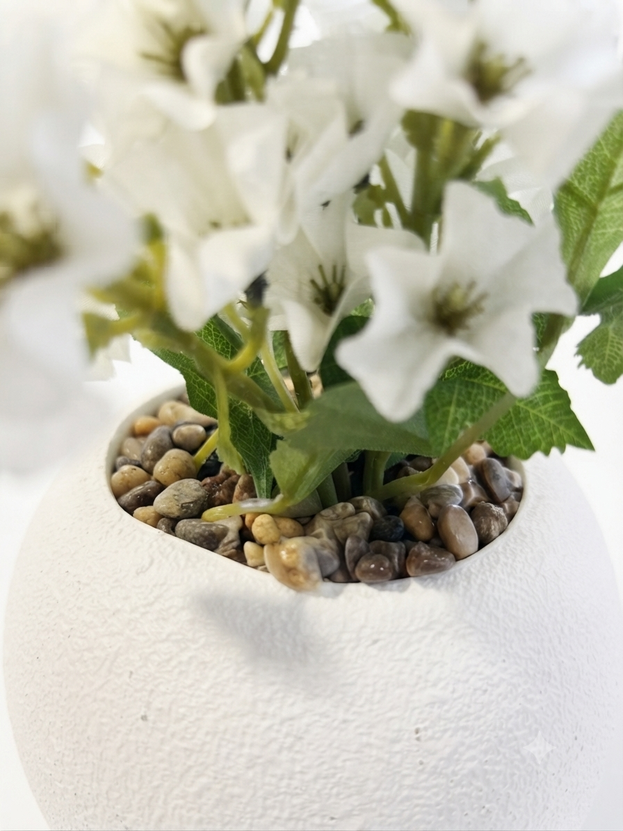 White Blossom