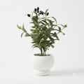 Artificial Olive Tree in White Pot