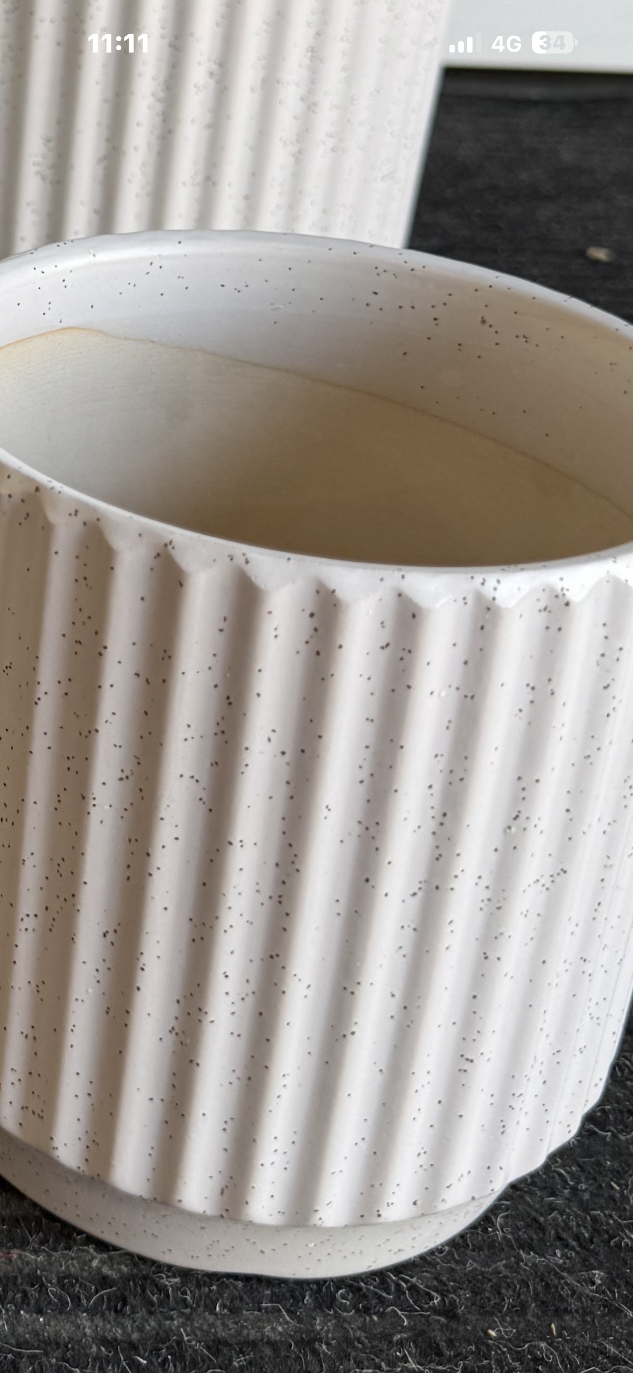 Matte Speckled Ribbed Ceramic Pot