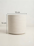 Horizontal Ribbed Ceramic Planter