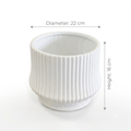 White Ribbed Planter Pot