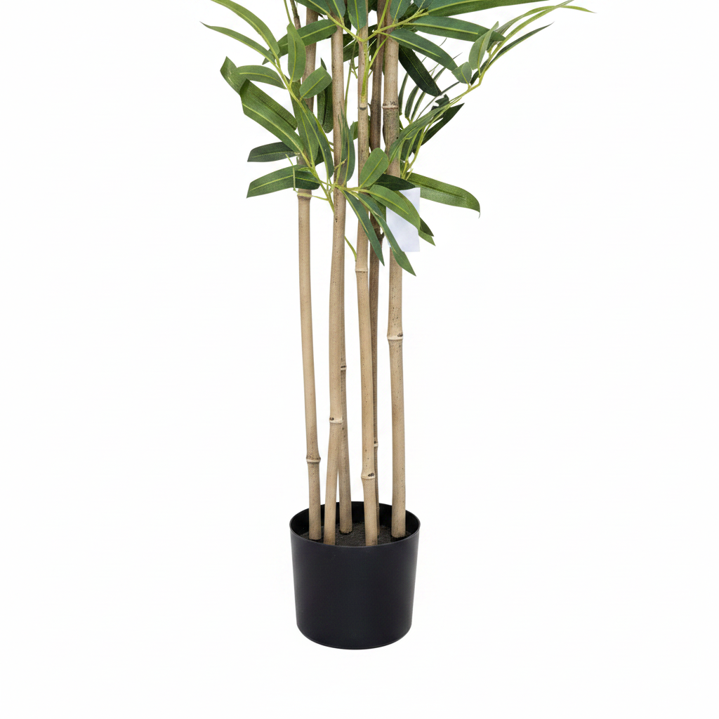 Bamboo Tree Bottom Close-up