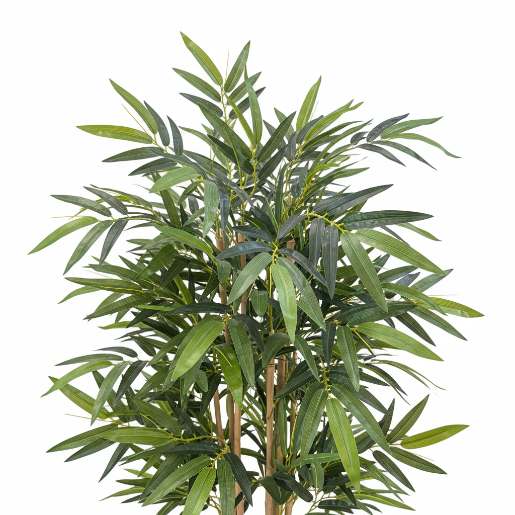 Bamboo Tree Leaves Close-up White Background