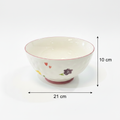 Bowl 21cm x 10cm