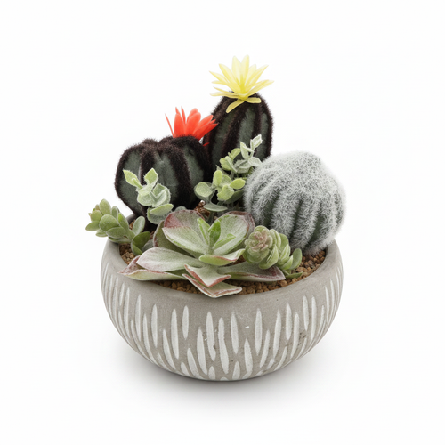 Close-up Concrete Bowl