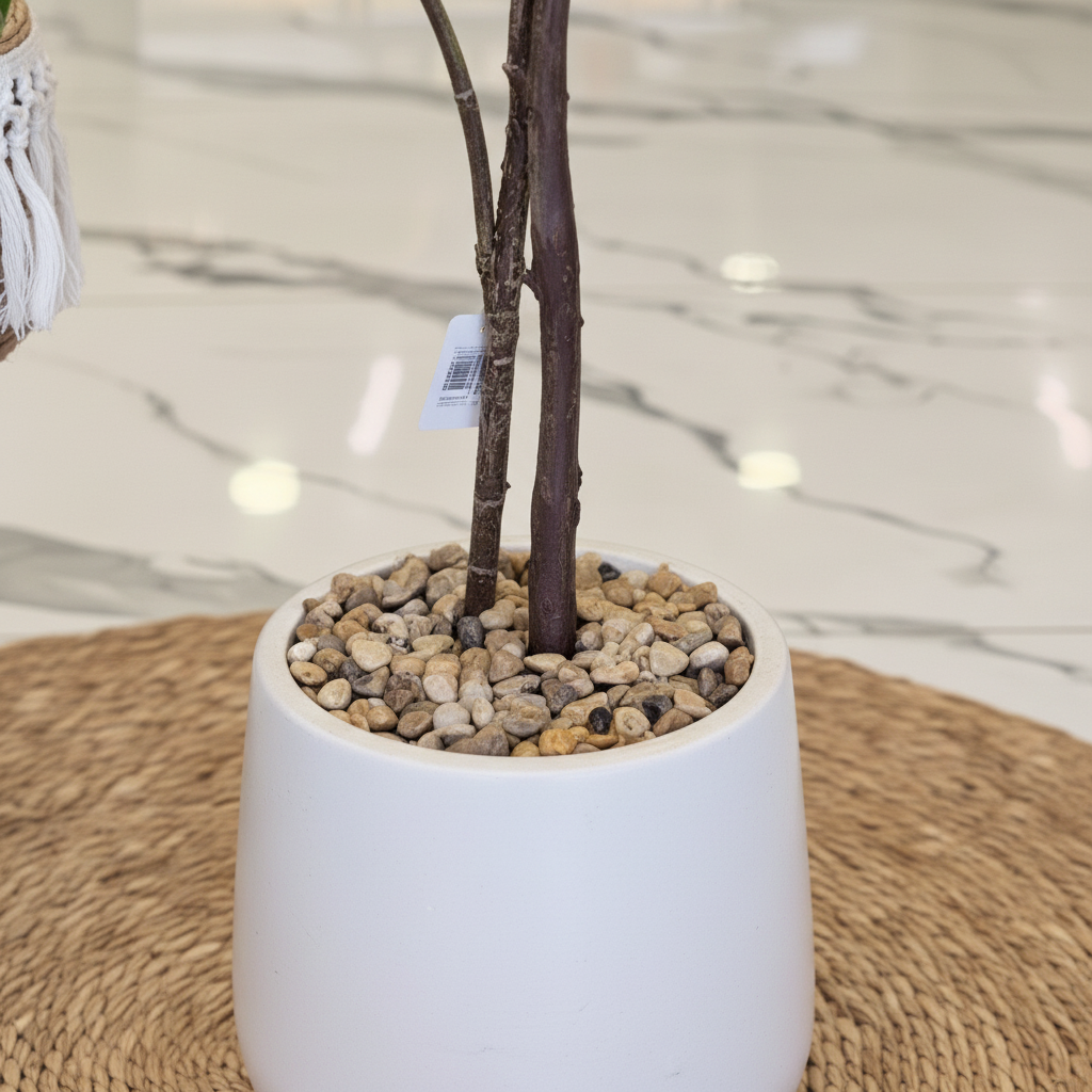 Close-up Front Pot