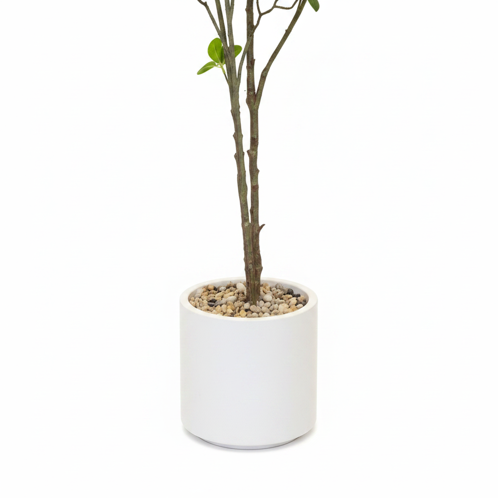 Close-up Pot