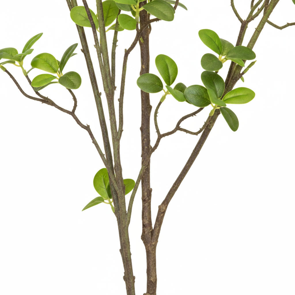 Close-up Trunk