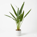 Artificial Bird of Paradise Plant 90cm