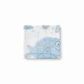 Fish and Shell Shower Curtain