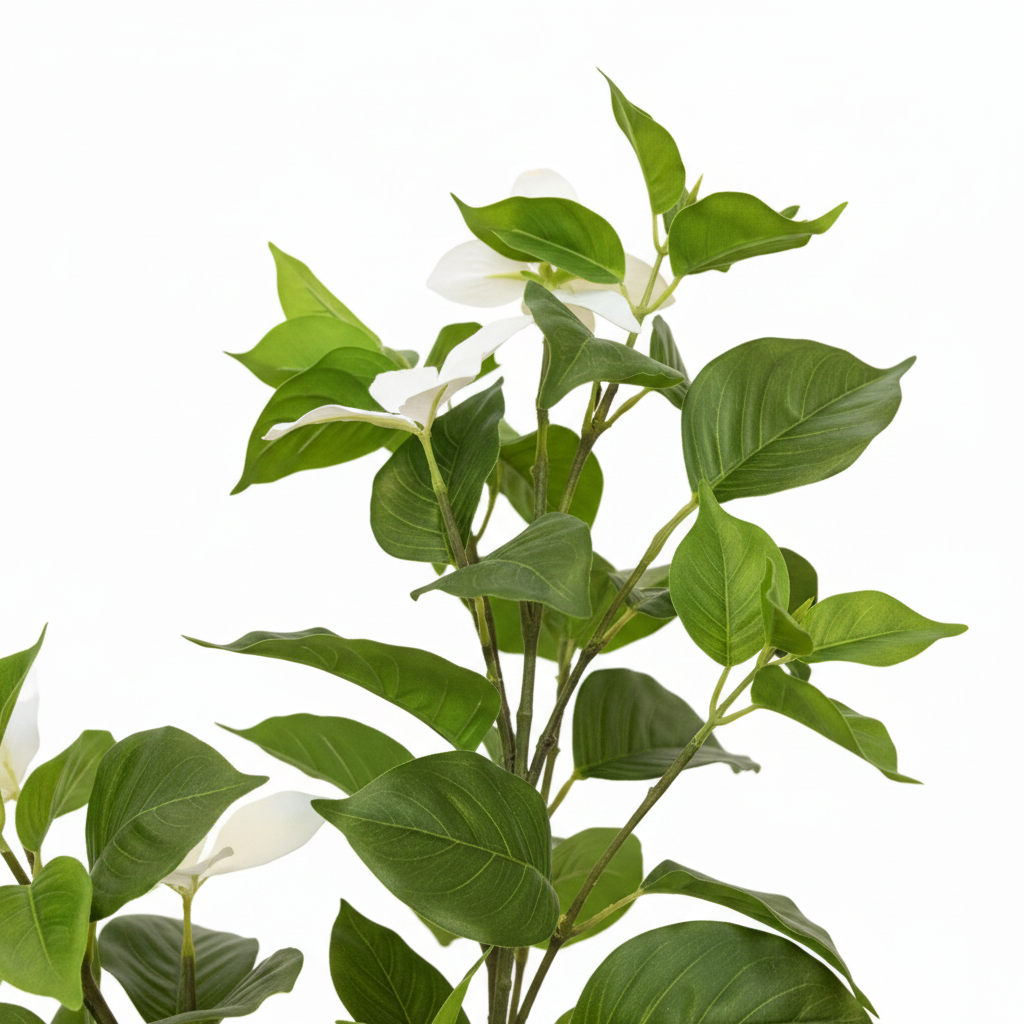 Gardenia Leaves & Flowers Close Up
