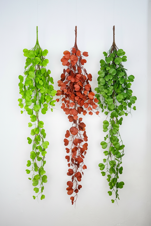 Hanging Vine - 3 Colors Display