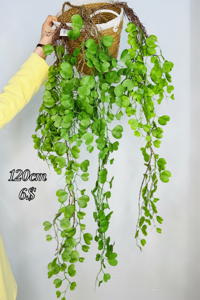 Hanging Vine Green