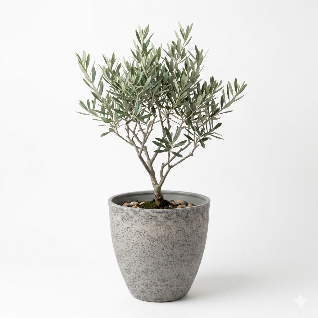 Stone-Effect Planter Pot