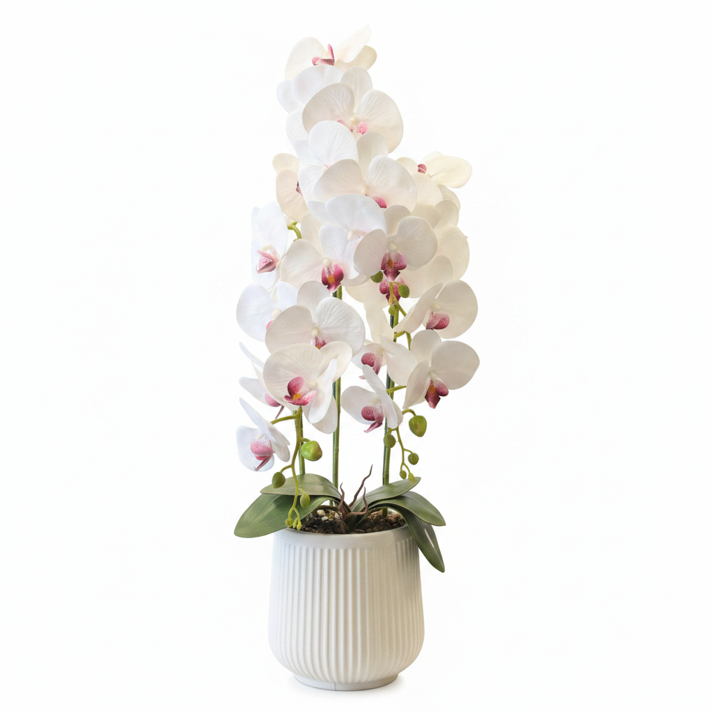 White Orchid - Plastic Pot 80cm