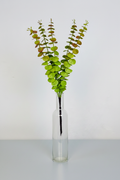Artificial Eucalyptus Branch
