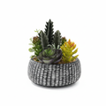 Artificial Dark Succulent Garden 20cm