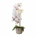 Artificial Pink Orchid 65cm