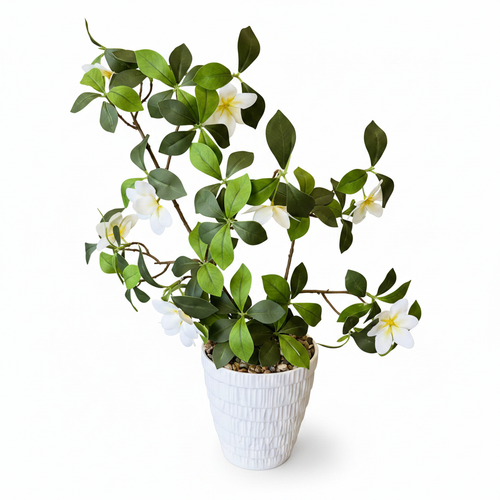 Artificial Plumeria Plant – White