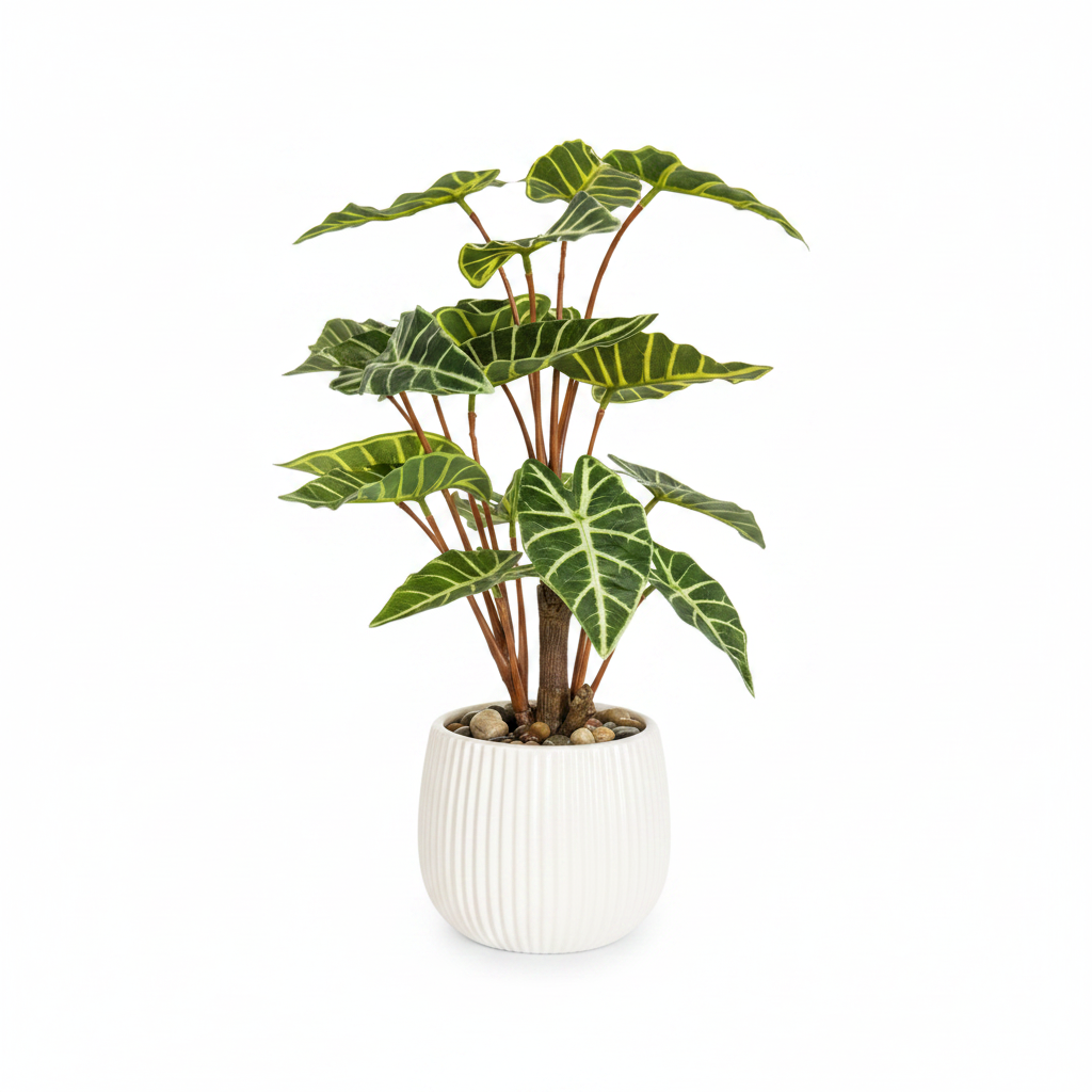 Artificial Alocasia Plant 40cm – Porcelain Pot