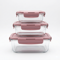 3-Piece Glass Food Storage Container Set