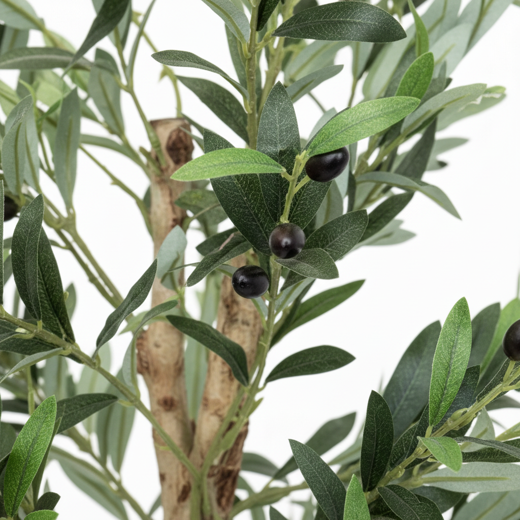 Olive Tree Detail Close-up