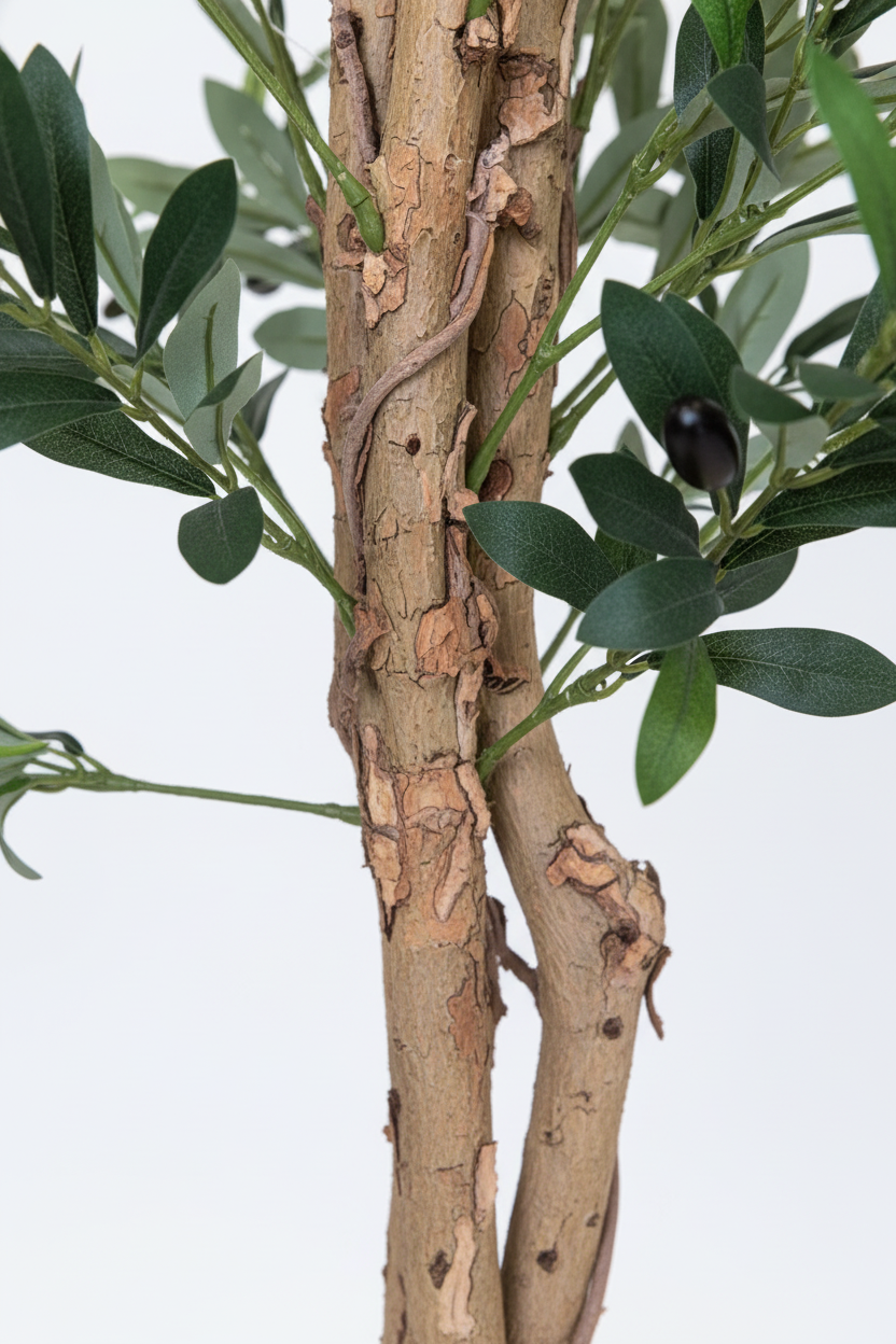 Olive Tree - Natural Wood Trunk Close-up
